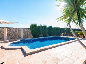 - une piscine dans une cour avec un palmier dans l'établissement Buenos Aires - Villa With Private Pool In Manacor Free Wifi, à Manacor