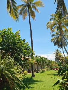 a lawn with palm trees in front of a building at Ceylonica Beach Hotel in Negombo