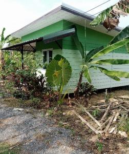 a green house with a large plant in front of it at Papa Camping Home and Bungalows in Thalang