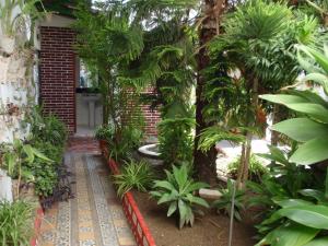 a garden with palm trees and plants in front of a building at Pensión San Andrés I in Jerez de la Frontera