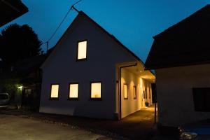 a black and white house with illuminated windows at night at Maison rue de la rose in Ljubljana