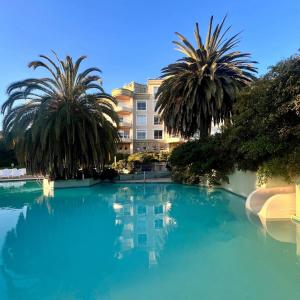 uma grande piscina de água azul com palmeiras em Hippocampus resort em Concón