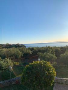 a view of a garden with a view of the ocean at Nefeli Apartments in Stoupa