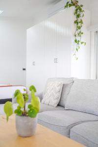 Uma área de estar em Charming Highton Hideaway between CBD and Surf Coast
