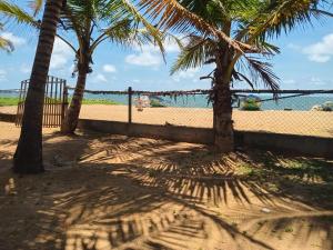 a shadow of palm trees on the beach at Ceylonica Beach Hotel in Negombo