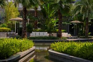 un complexe avec des palmiers, des chaises et un étang dans l'établissement Doubletree By Hilton Shenzhen Airport, à Bao'an