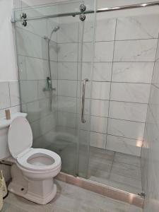 a bathroom with a toilet and a glass shower at Mac Elegant Apartment in Beaton