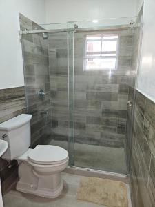 uma casa de banho com um WC e uma cabina de duche em vidro. em Mac Elegant Apartment em Beaton