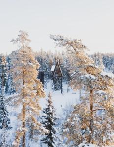 ÅsnesPAN Treetop Cabins的雪覆盖森林中部的小屋