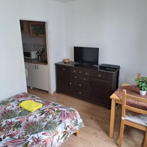ein Schlafzimmer mit einem Bett und einem TV auf einer Kommode in der Unterkunft Kwatera na Wspólnej in Warschau