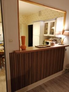 - une cuisine avec un comptoir et un miroir dans l'établissement L ARDECHE VERTE, à Saint-Martin-de-Valamas