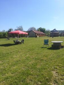 un tavolo da picnic e una panchina in un campo di Dunavska Avlija a Mala Vrbica