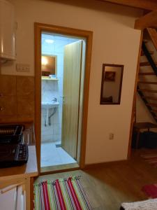 een badkamer met een douche en een wastafel in de kamer bij Dunavska Avlija in Mala Vrbica