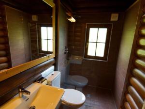 a bathroom with a sink and a toilet and a mirror at Chalet Grand Wastl in Wörgl