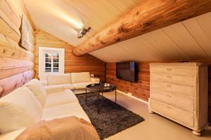 a living room with a couch and a tv at Luxurious and modern log cabin close to nature in Lislevatn