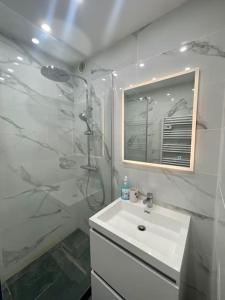 a bathroom with a sink and a shower and a mirror at Superbe 2P proche plages - Piscine in Juan-les-Pins +28 photos