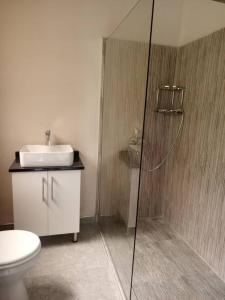 a bathroom with a shower and a toilet and a sink at Sable Suites B1, 1 Bed Apartments in Kabulonga in Lusaka