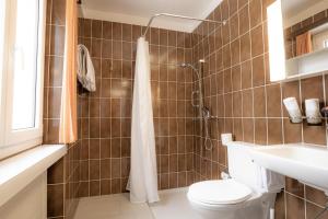 W łazience znajduje się prysznic, toaleta i umywalka. w obiekcie Casa Viva Bad Ragaz w mieście Bad Ragaz