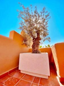 Fotografia z galérie ubytovania Luxury 4 BD Penthouse with Private Pool by Hostlovers v Marbelli