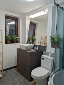 y baño con lavabo, aseo y espejo. en TinyHouseFaget, en Cluj-Napoca