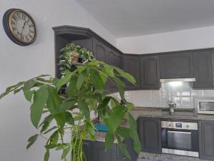 コスタ・デル・シレンチオにあるCarabelaの植物と時計付きのキッチン