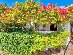 un edificio con flores a un lado. en Charming Family Home, en Ciudad del Cabo
