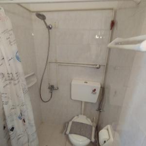 y baño pequeño con aseo y ducha. en ΔΙΑΜΕΡΙΣΜΑΤΑ-STUDIO ANTONIA, en Galissas