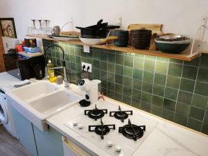 a kitchen counter with a stove and a sink at Jungle Chic au bord du Canal Saint-Martin in Rennes