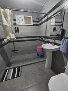 a bathroom with a sink and a toilet at Alooma House in Vashisht