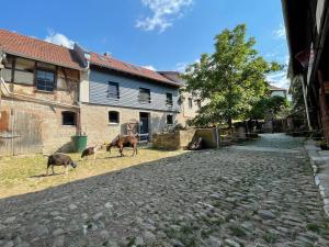 a group of animals grazing on the grass next to a house at Ferienhof"WaldEsel Rippersroda" in Rippersroda