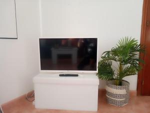 un televisor en un puesto blanco con una planta en Apartamento entero con jardín en Casa Amelia, en Padrón