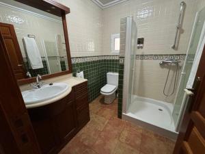 een badkamer met een wastafel, een toilet en een douche bij Casas de Poniente in Cehegín