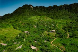 an overhead view of a green hill with animals on it at Avana Retreat in Mai Chau