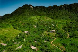 - une vue sur une colline verdoyante avec des animaux dans l'établissement Avana Retreat, à Mai Châu