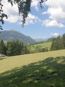 un campo de hierba con montañas en el fondo en Holmbauer Ferienwohnung Panoramablick en Ober-Etrach