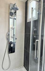 um chuveiro numa casa de banho com uma porta de vidro em L'atelier, T3 central, calme et charme em Vincennes
