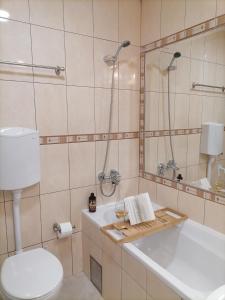 a bathroom with a white toilet and a sink at Apartman Harmony Šabac Centar in Šabac +24 photos