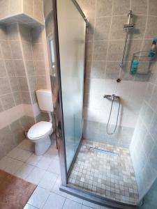 a bathroom with a shower and a toilet at Garden House in Sarajevo +62 photos