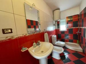 a bathroom with a sink and a toilet and a mirror at Johnny Apartment Berat in Berat