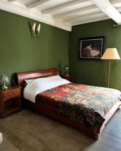 a bedroom with a bed in a green wall at Chez Rosette de Lussan in Lussan