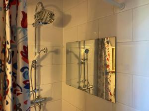 a bathroom with a shower and a mirror at Caravan Stadstuin Goedereede let op de badkamer moet met andere gasten gedeeld worden in Goedereede