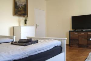 een slaapkamer met een bed en een flatscreen-tv bij Ferienwohnung Maye Oberhausen in Oberhausen