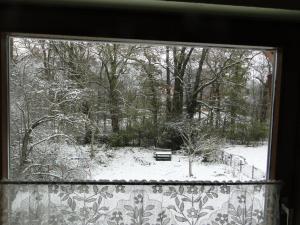 シュリッツにあるFerienwohnung Am Schlossparkのベンチのある雪に覆われた庭の窓からの眺め +4枚の写真