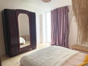 um quarto com um espelho grande e uma cama em Maison T2 avec patio em La Rochelle