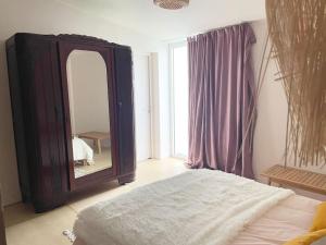 a bedroom with a large mirror and a bed at Maison T2 avec patio in La Rochelle