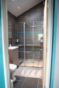 a bathroom with a shower and a toilet at Vineyard Country Cottage in Llanerch-Aeron