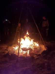 a fire pit with people standing around it at night at Alpaka-Tipi-Park in Bad Salzungen
