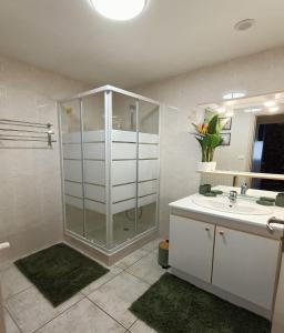 a bathroom with a shower and a sink and a mirror at Gite tout confort 10 pers à 8 km du Lioran in Saint-Jacques-des-Blats