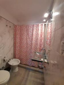 馬德普拉塔的住宿－Hotel Corcel，一间带水槽和卫生间的浴室