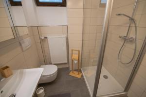 een badkamer met een douche, een toilet en een wastafel bij Scheidegg unterm Kreuzberg in Scheidegg